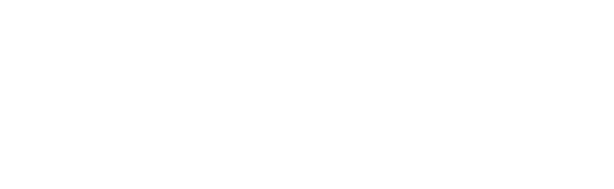 Dailus